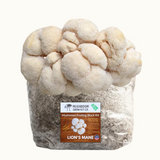 3 Pack - Premium Lion's Mane, Pink, and Blue Oyster Mushroom Fruiting Block Grow Kits - 15 LBS