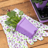 Purple gardening glove, potted plant, and floral-patterned gloves on a wooden surface