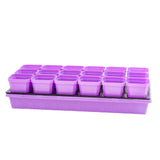 Purple seedling trays with small pots on a white background 3.3" Heavy Duty Seed Starting Pots with Inserts