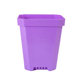 Purple 5" Heavy Duty Nursery Pots