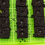 Seedling trays with soil blocks and seeds on a green grid background Soil Blocking Starter Kit