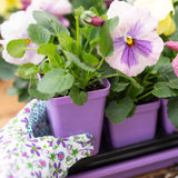 Pansies in purple pots with a floral-patterned cloth on a wooden surface