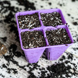 Purple seed tray with compartments filled with soil on a textured surface 4 Cell Plug Tray Insert