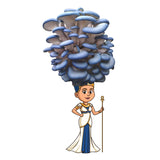 Queen Nefungitari - Blue Oyster Mushroom Grow Kit with blue and gray mushroom hair on a white background