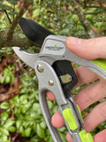 Garden Guru pruner being used on a branch with greenery in the background