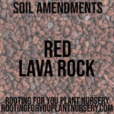 Red lava rock with text overlay on a textured background