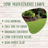 Advertisement for low maintenance lawn with text and a garden scene.