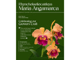 Rhyncholaeliocattleya Maria Angamarca