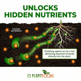Diagram of plant roots unlocking locked nutrients with GS Plant Foods branding.
