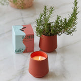 Red candle in a pot with a small plant and 'Rooted Candle' packaging on a marble surface