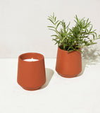 Two terracotta pots, one with a candle and the other with a plant, on a white background. Rooted Candles Planters