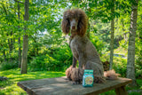 Poodle sitting on a wooden table outdoors with ROSEMARY MINT & ARNICA BATH SALTS 16 oz. OR 32 oz.