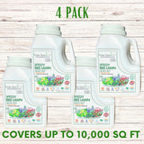 Four bottles of Flawn Seed Speedy Bee Lawn Seed Kit on a wooden surface with text indicating coverage and pack size.