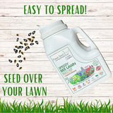 White container labeled 'Speedy Bee Lawn Seed Kit' with text 'Easy to Spread! Seed Over Your Lawn' on a wooden background.