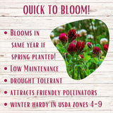 Heart-shaped cutout of red flowers with text about plant characteristics on a wooden background