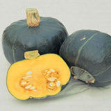 Two whole and one halved blue buttercup squash on a light gray background SQUASH (Buttercup) Seeds, Burgess