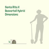 Silhouette of a person holding a gardening tool next to a Santa Rita X Beavertail Hybrid product, with dimensions indicated.