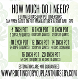 Premium Super Chunky Extra Grit Houseplant Soilless Potting Mix - Perfect for Overwaterers!