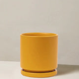 Yellow ceramic pot on a neutral background