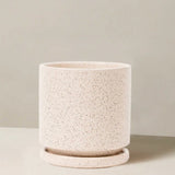 Speckled beige ceramic planter on a neutral background
