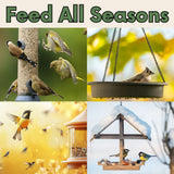 Songbird Symphony Wild Bird Seed Blend