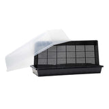Black Seed Starter Kit with a clear cover on a white background