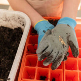 Person wearing gardening gloves with soil on them, holding seeds over a red seedling tray.