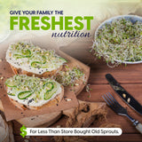 Promotional food scene showing two slices of toast topped with white spread, cucumber slices, and fresh sprouts on a wooden table, with a bowl of sprouts and large text reading 'GIVE YOUR FAMILY THE FRESHEST nutrition' and a banner at the bottom.