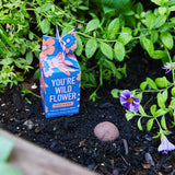 Seed bomb packaging with floral design on a bed of soil and plants