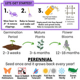 Self-Heal Seed Pouch