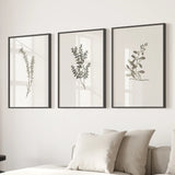 Three framed botanical prints on a wall above a sofa with pillows.