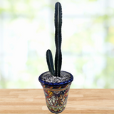 Cylindrical Peruvian Apple Cactus in a decorative pot on a wooden surface with a blurred natural background