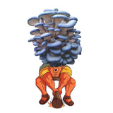 Cartoon character lifting a large pile of blue and gray mushrooms Smushrooom - Blue Oyster Mushroom Grow Kit