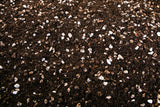 Cactus and Succulent Growers Soil