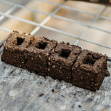 Block of dark brown soil with square holes on a metal surface Ladbrooke Soil Blocker Insert Pins - 3/4" Cubic Pins (Set of 4)