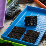 Seedling trays with soil blocks on a blue tray, surrounded by gardening tools. Soil Blocking Starter Kit