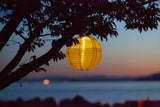 Soji Festival 12" Round Solar Lantern