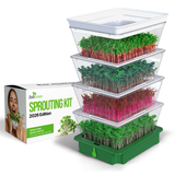 ZeoVegans Sprouting Kit 2026 Edition, featuring a green plastic base with four stacked clear plastic trays filled with green and red sprouts, shown next to its white and green retail packaging box.