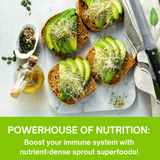 Four slices of avocado toast on a marble board, topped with sprouts, with a knife, small bowl of seeds, and a bottle of oil nearby. A bright green banner at the bottom reads: 'POWERHOUSE OF NUTRITION: Boost your immune system with nutrient-dense sprout superfoods!'.