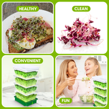 A four-panel promotional collage for a sprout/grass growing kit. Top-left shows a prepared sandwich topped with fresh sprouts on a plate, labeled HEALTHY.