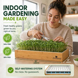 A woman indoors harvests microgreens from a rectangular wooden ZestGreens planter box. The scene includes marketing text reading 'INDOOR GARDENING MADE EASY,' icons for soil-free and BPA-free, dimensions of the planter, and a self-watering system inset.