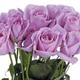 Bouquet of purple Sterling Silver Roses with green stems on a white background