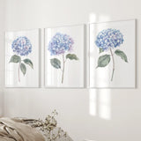Three framed prints of blue hydrangea flowers on a wall.