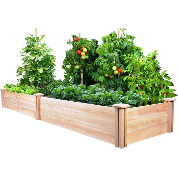 Cedar Wood 2-Ft x 8-Ft Outdoor Raised Garden Bed Planter Frame - Made in USA - FREE SHIPPING