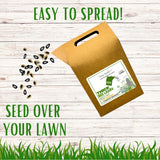 Lawn seed kit packaging with seeds and text on a wooden background