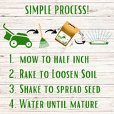 Step-by-step lawn care guide with icons and text on a wooden background