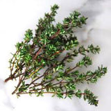 Green thyme branch on a white background THYME Seeds