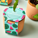 Tiny Terracotta Garden Kits for watermelon