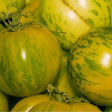 Close-up of green and yellow striped tomatoes with a blurred background TOMATO Seeds, Green Zebra