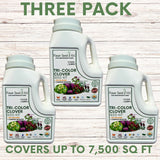 Three-pack of Tri-Color Clover seed kits on a wooden background